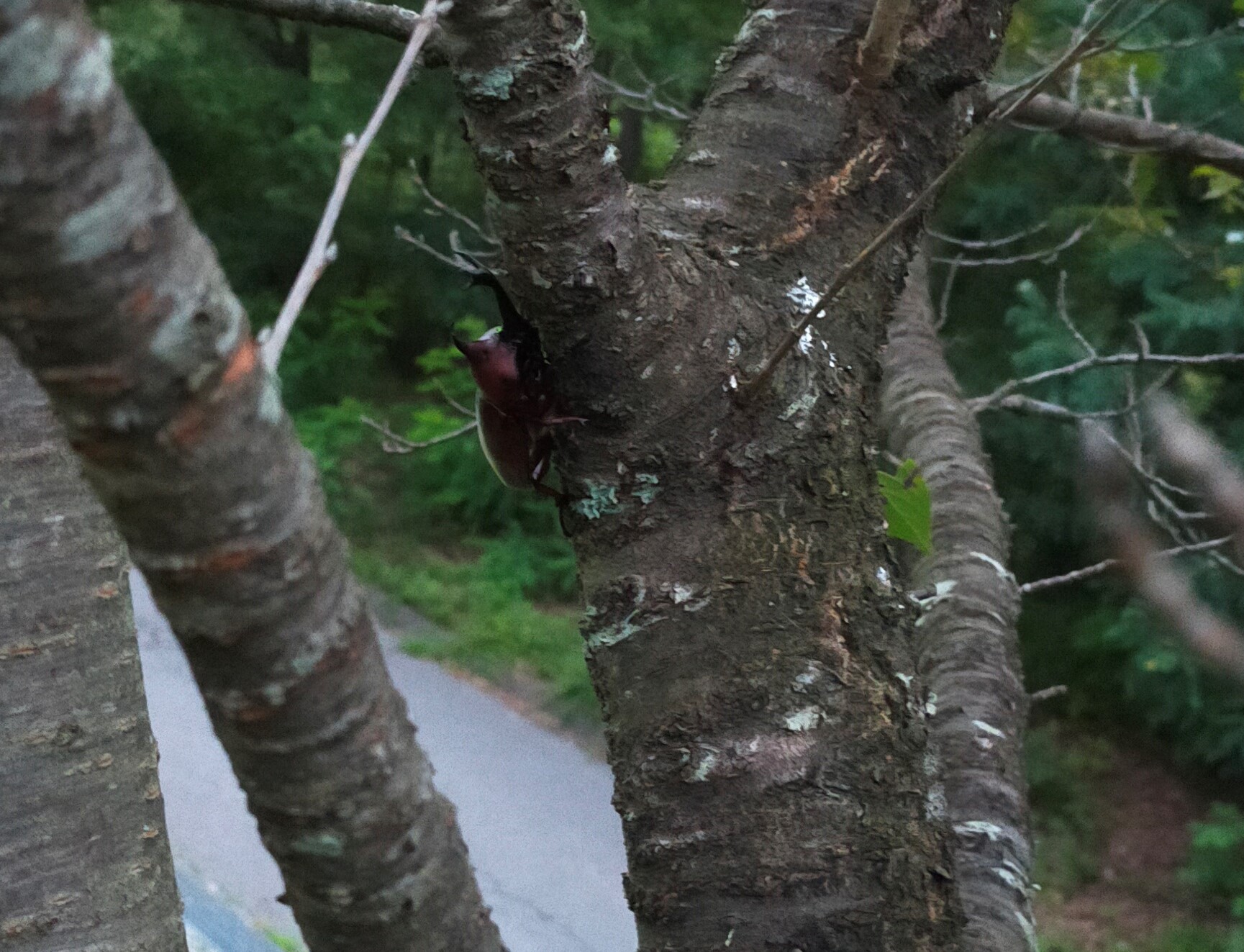 太陽光発電 35年までに経済的自由を目指して